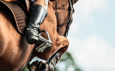 Le Jumping de Monaco : un événement équestre de prestige